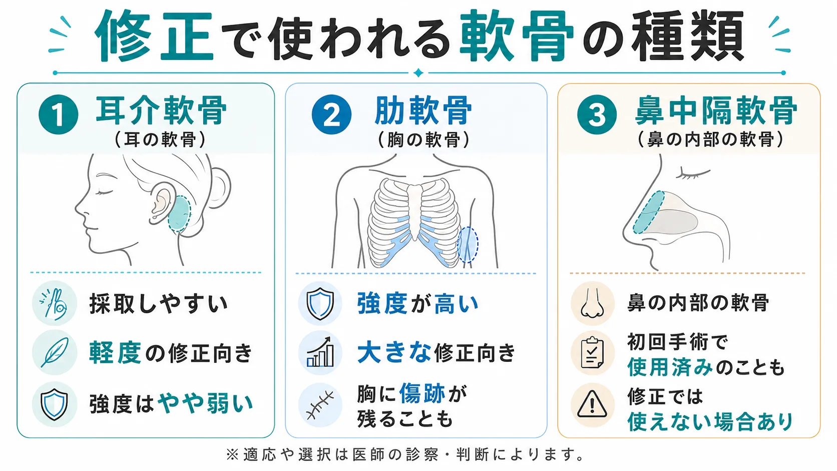 鼻中隔延長で使われる軟骨の種類(耳介軟骨・肋軟骨・鼻中隔軟骨)の解説